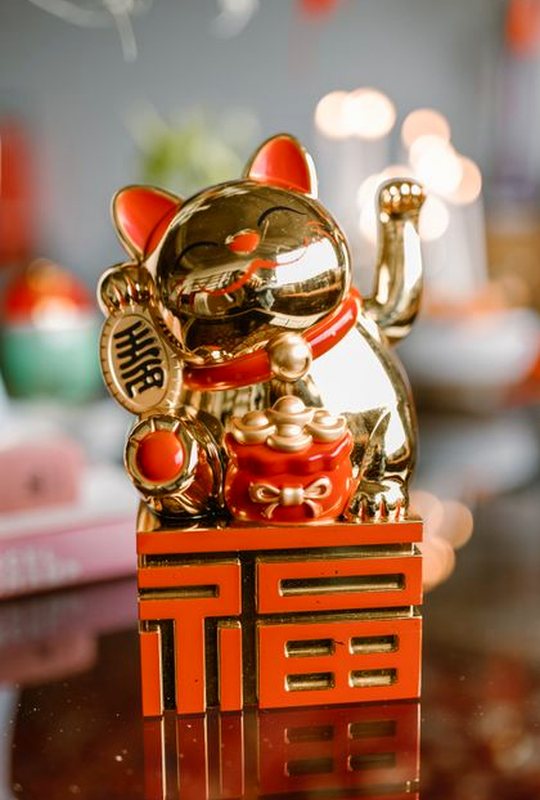 giấy phép Five88